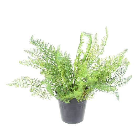 Fougère artificielle Daullia Bullata - plante en piquet - H.35cm vert