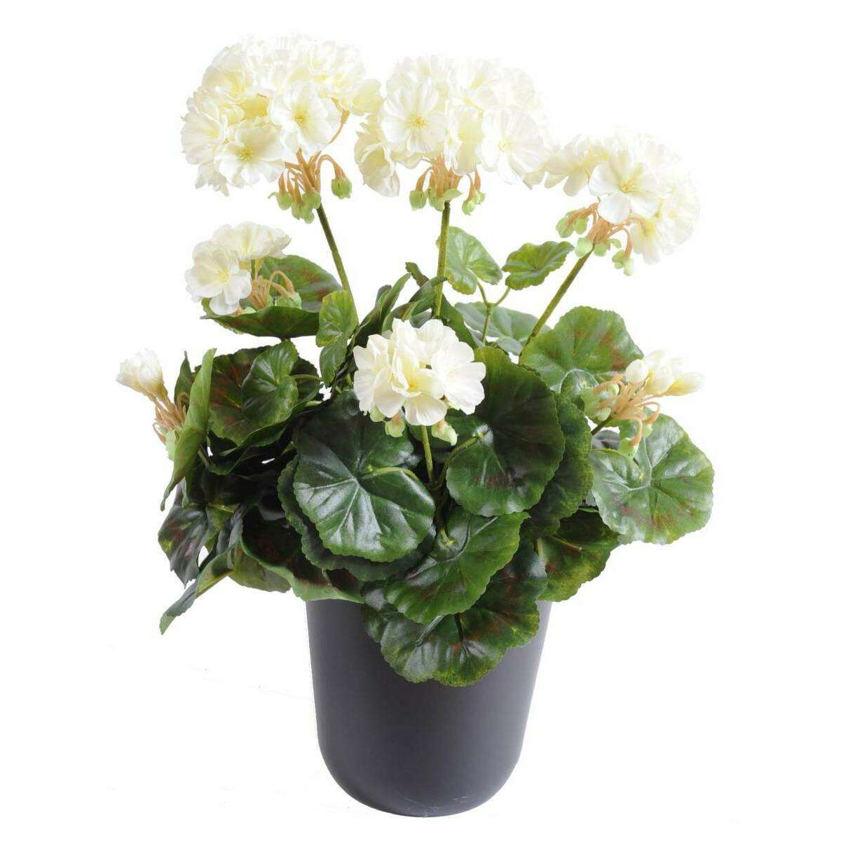 Géranium en piquet 5 têtes - Plante fleurie artificielle - H.40cm blanc