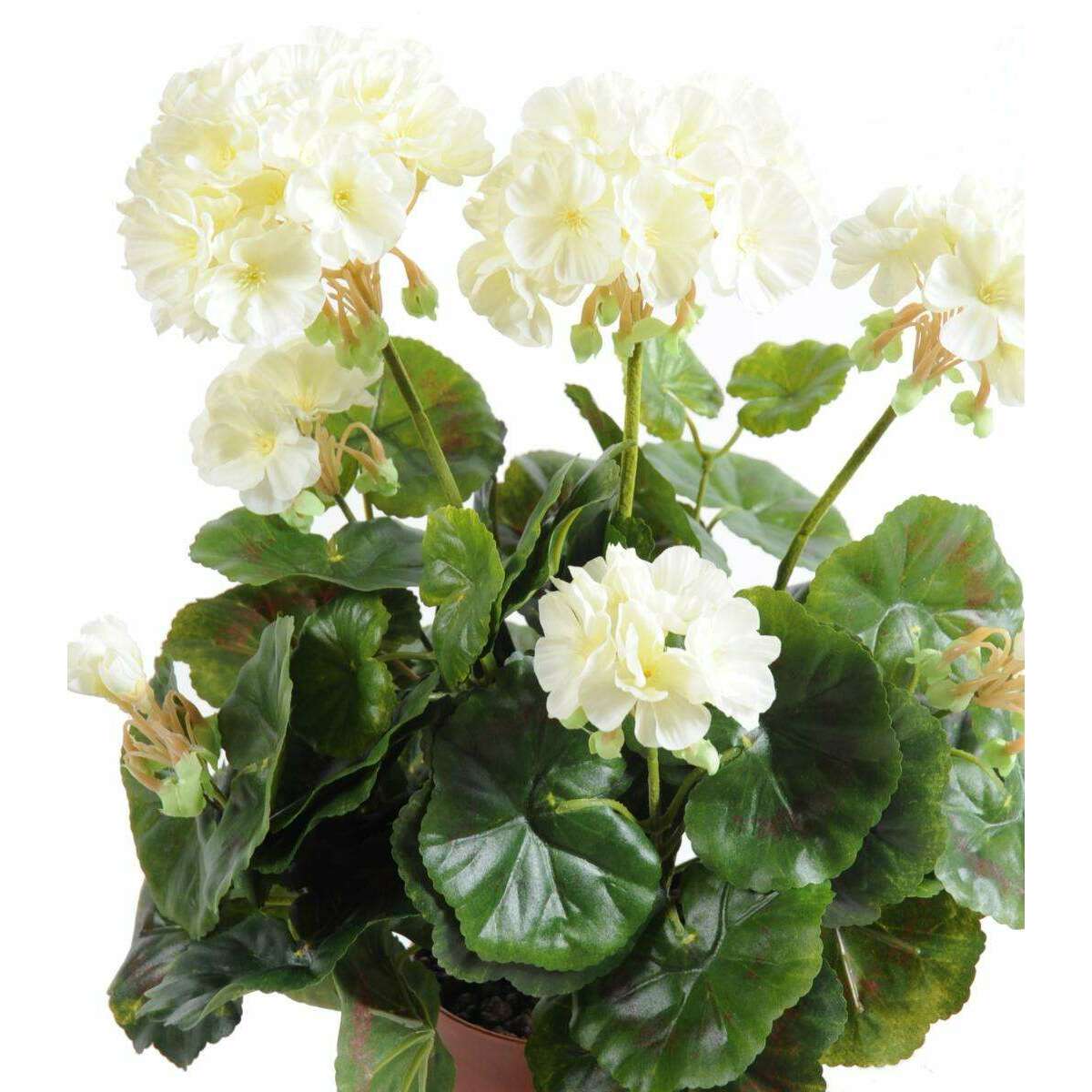 Géranium en piquet 5 têtes - Plante fleurie artificielle - H.40cm blanc