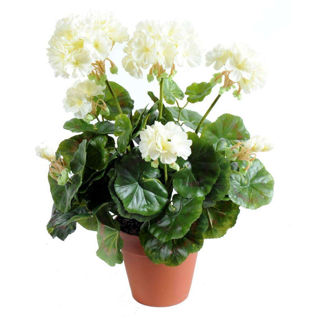 Géranium en piquet 5 têtes - Plante fleurie artificielle - H.40cm blanc