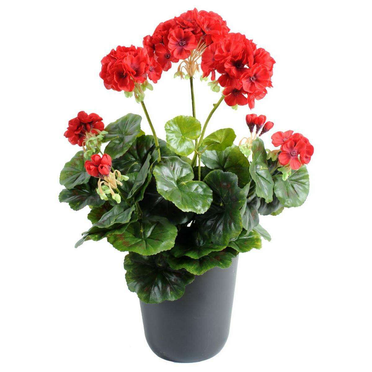 Géranium en piquet 5 têtes - Plante fleurie artificielle - H.40cm rouge