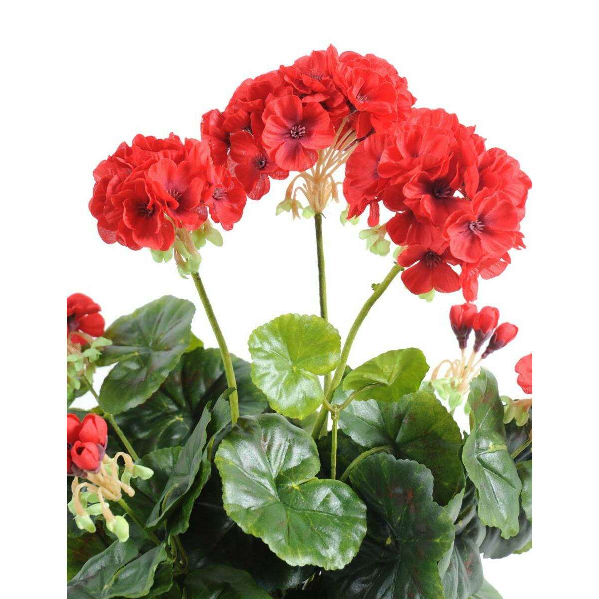 Géranium en piquet 5 têtes - Plante fleurie artificielle - H.40cm rouge