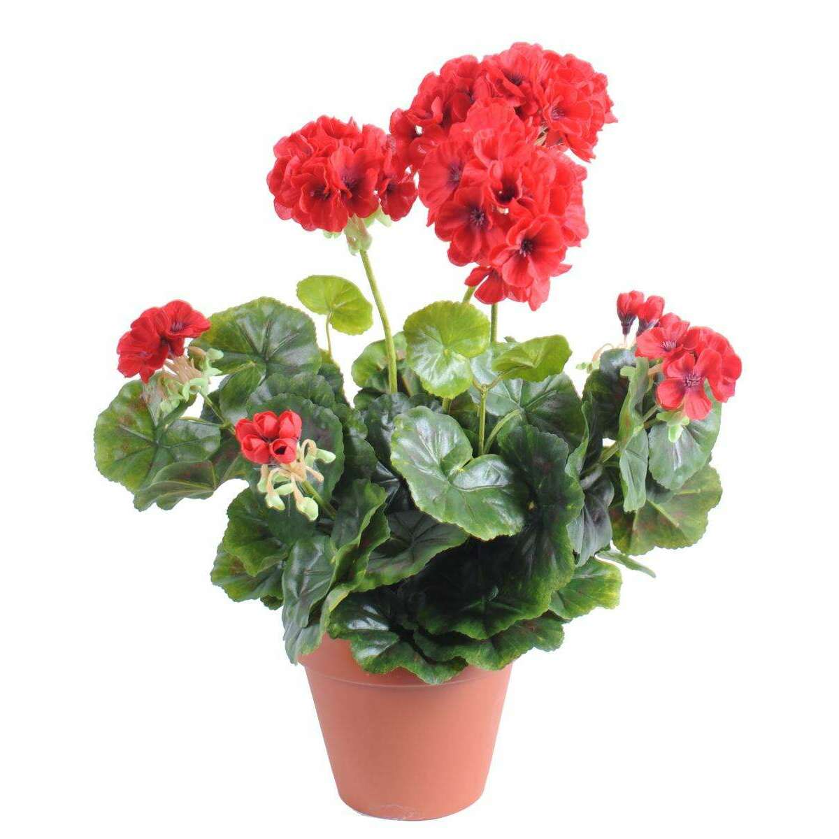 Géranium en piquet 5 têtes - Plante fleurie artificielle - H.40cm rouge