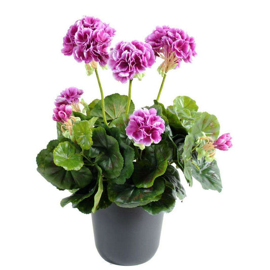 Géranium en piquet 5 têtes - Plante fleurie artificielle - H.40cm violet