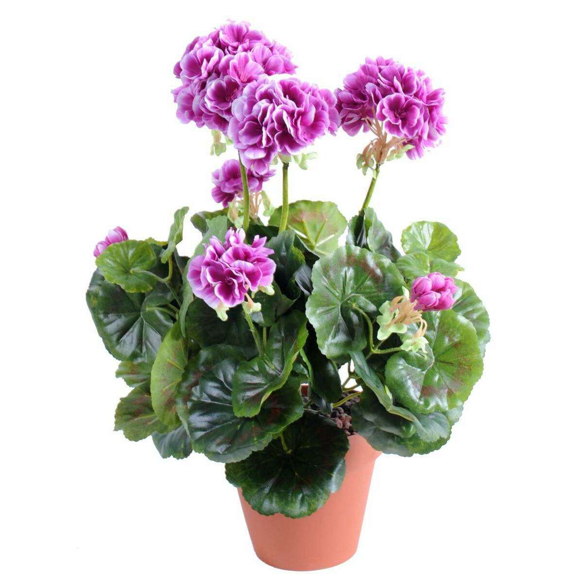 Géranium en piquet 5 têtes - Plante fleurie artificielle - H.40cm violet