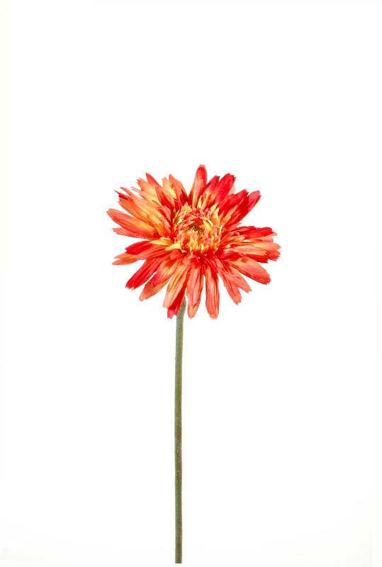 Fleur artificielle Gerbera corail 62cm