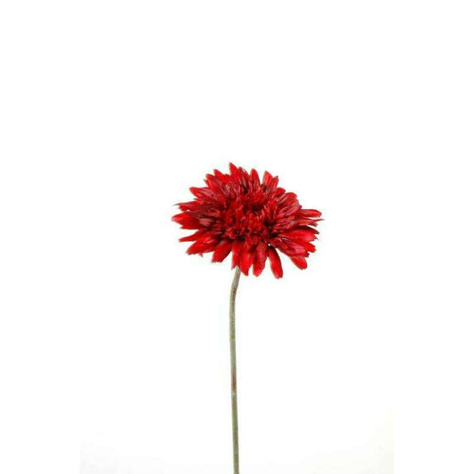 Gerbera rouge 62 cm