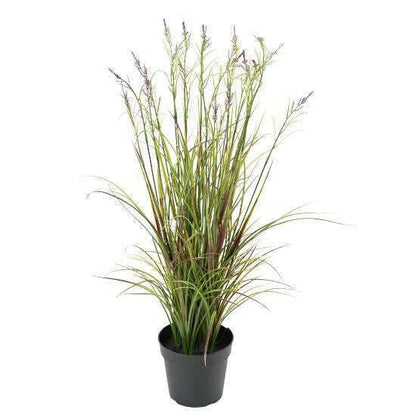 Graminée artificielle Acorus fleuri en pot - plante d'extérieur - H.70cm vert violet