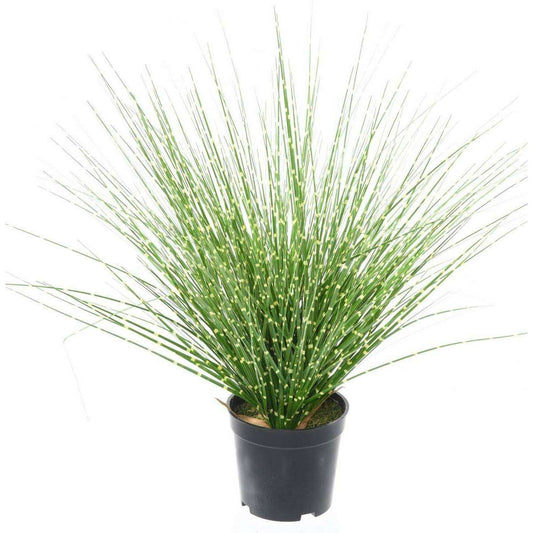 Graminée artificielle Miscanthus sinensis Zebrinus - intérieur - H.45cm vert jaune