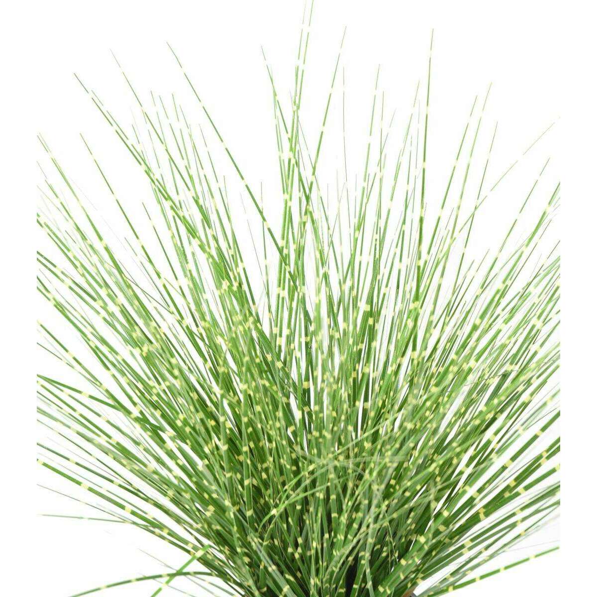 Graminée artificielle Miscanthus sinensis Zebrinus - intérieur - H.45cm vert jaune