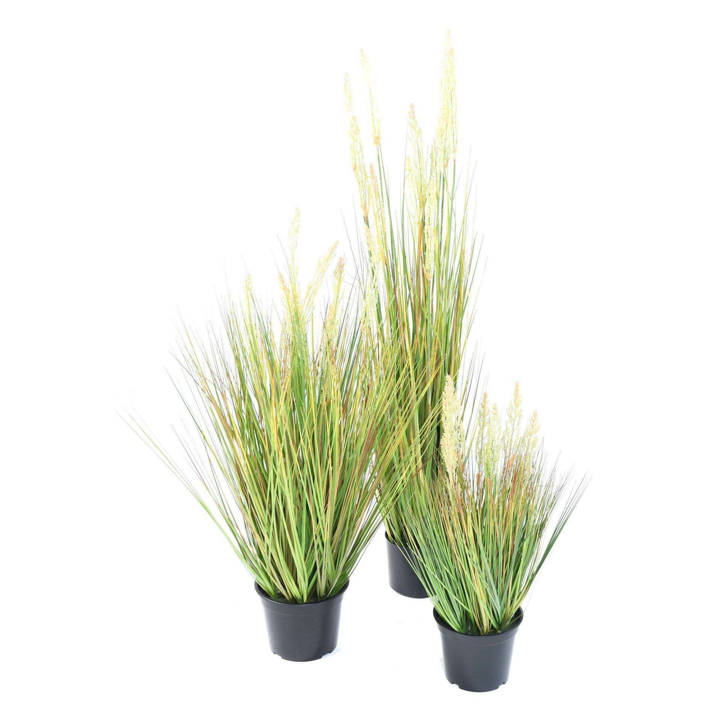 Graminée artificielle Onion Grass Graine en pot - plante d'intérieur - H.120cm