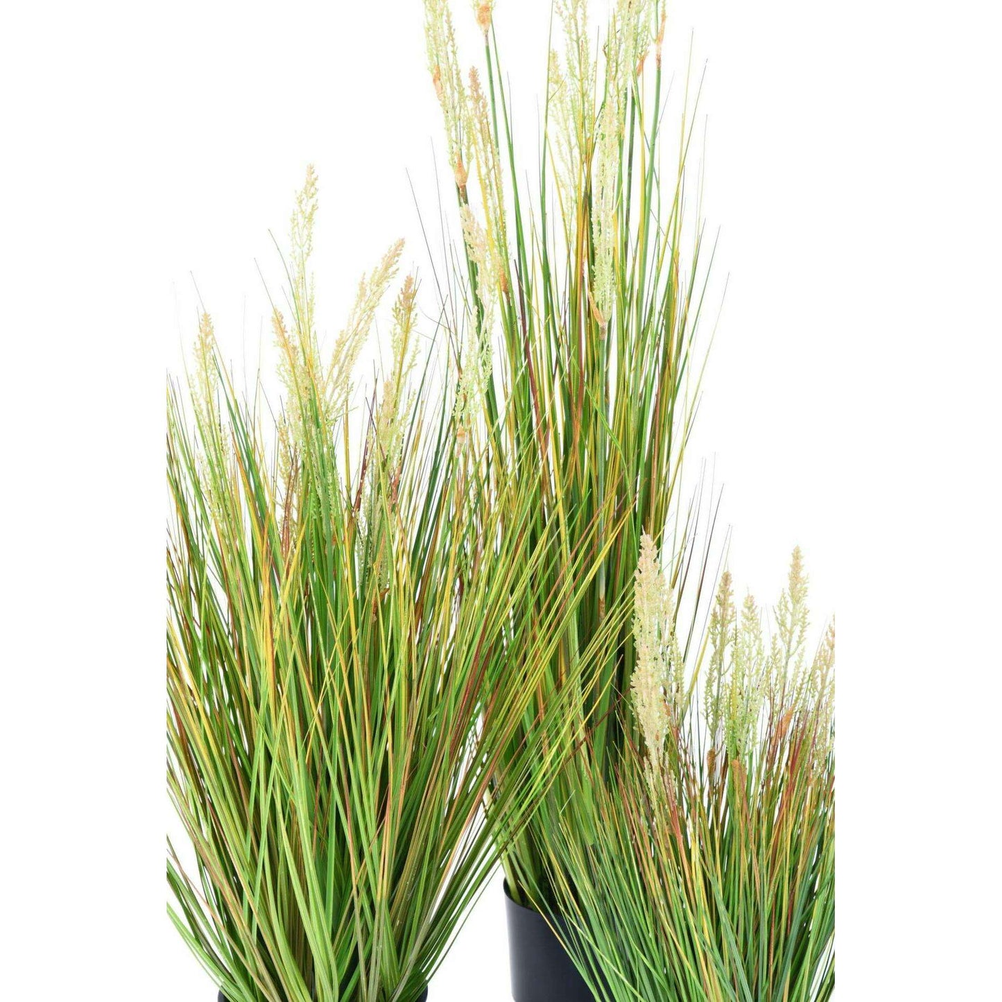 Graminée artificielle Onion Grass Graine en pot - plante d'intérieur - H.60cm