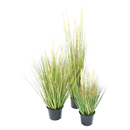 Graminée artificielle Onion Grass Graine en pot - plante d'intérieur - H.60cm