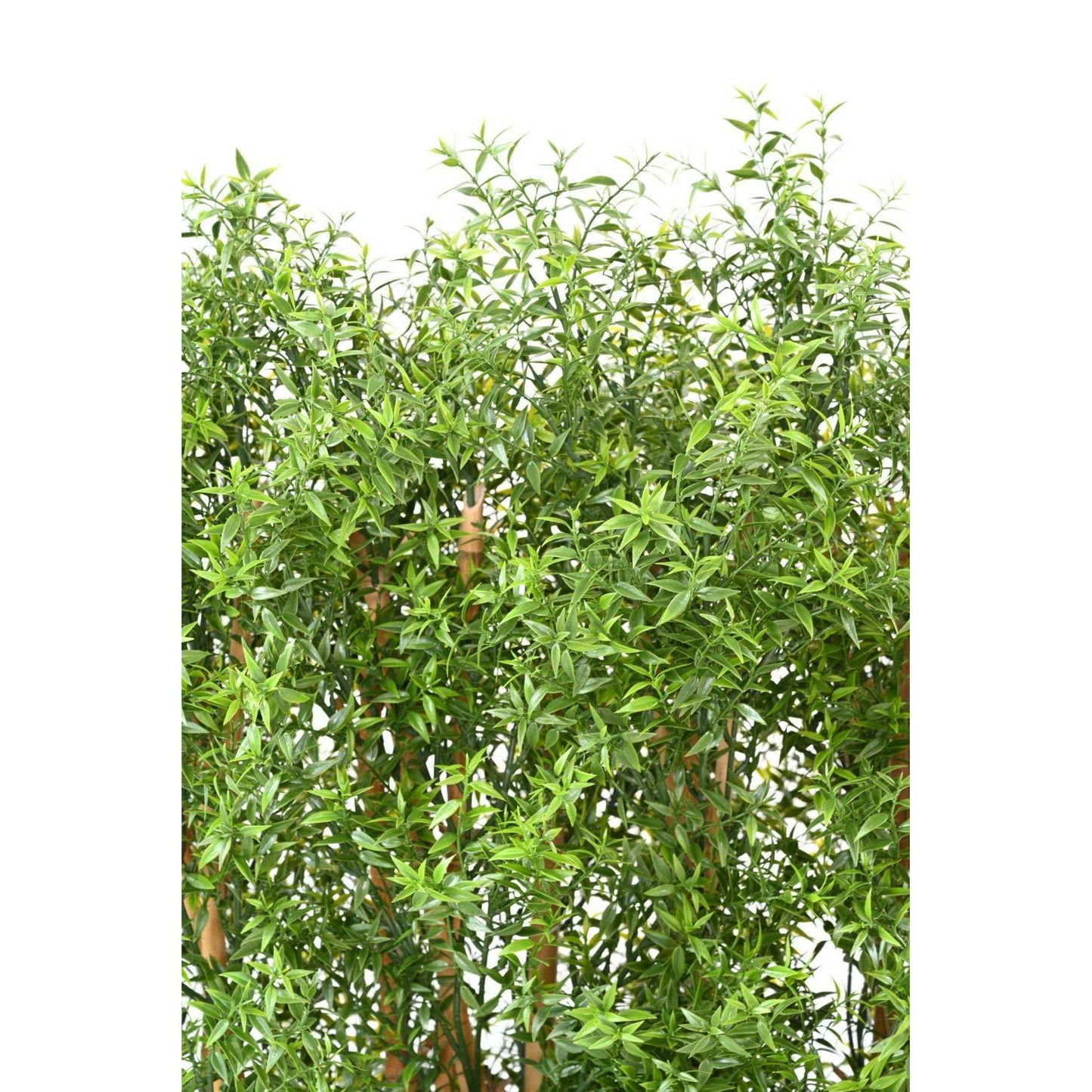 Haie artificielle Eucalyptus Plastique UV - plante pour extérieur - H.150cm