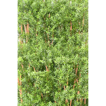 Haie artificielle Eucalyptus Plastique UV - plante pour extérieur - H.180cm