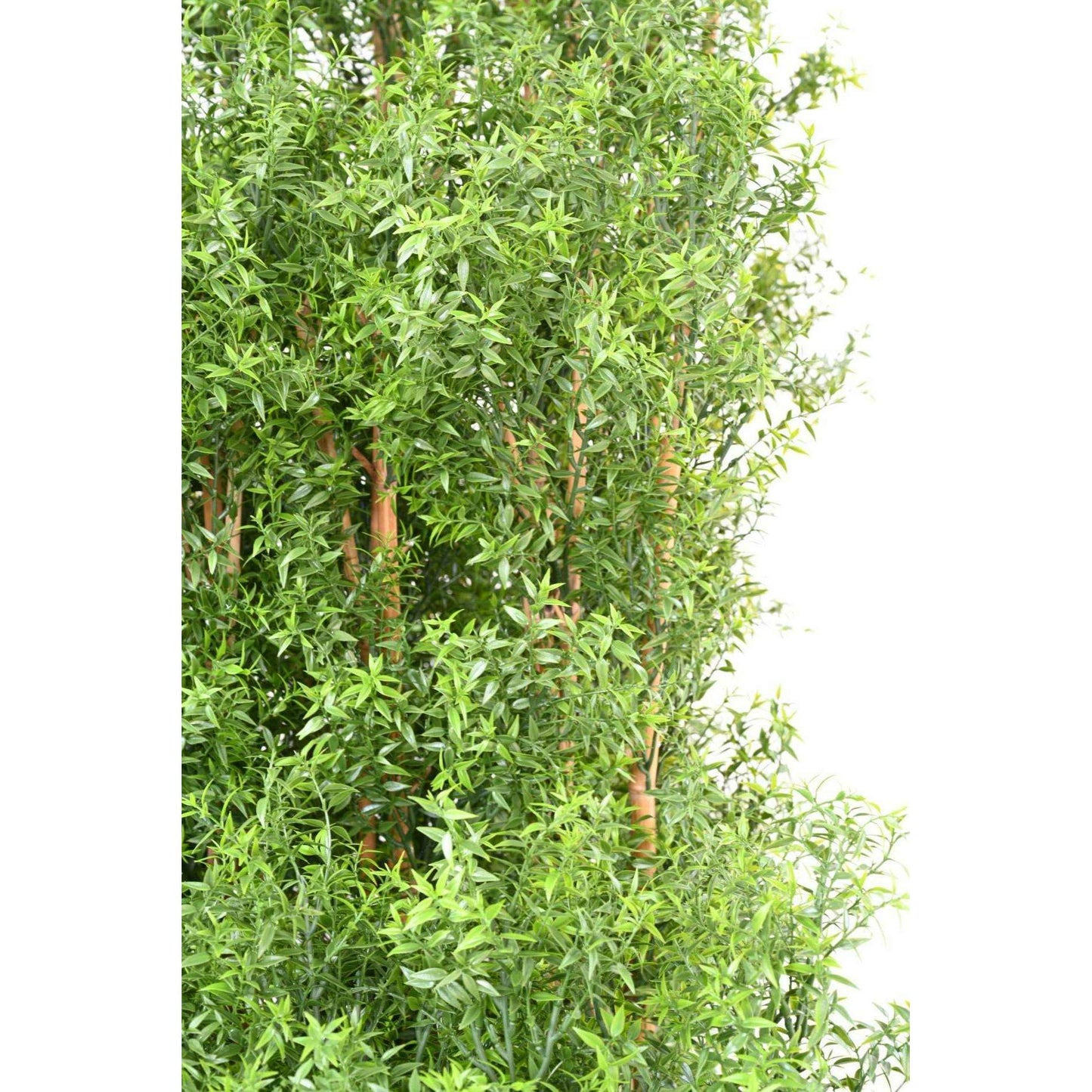 Haie artificielle Eucalyptus Plastique UV - plante pour extérieur - H.180cm