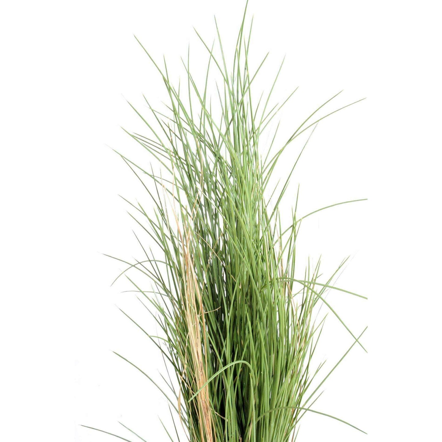 Herbe artificielle Honey Grass UV résistant - intérieur extérieur - H.115cm