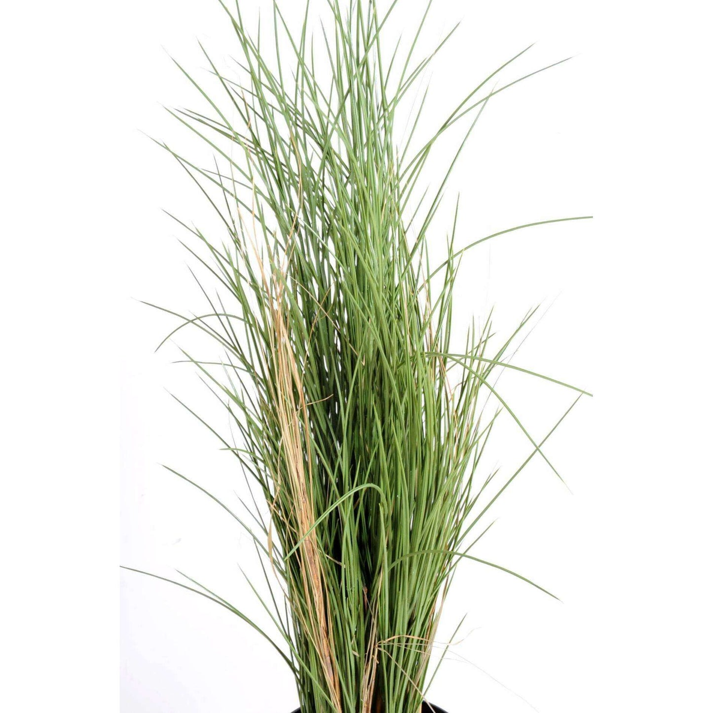 Herbe artificielle Honey Grass UV résistant - intérieur extérieur - H.115cm