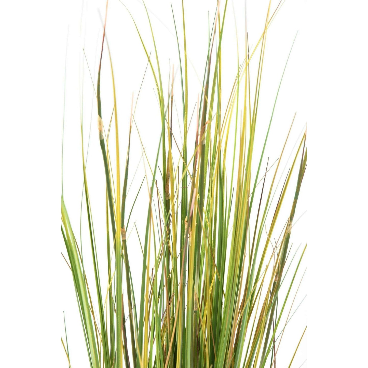 Herbe artificielle Onion Grass Bambou - plante d'intérieur - H.120cm vert jaune