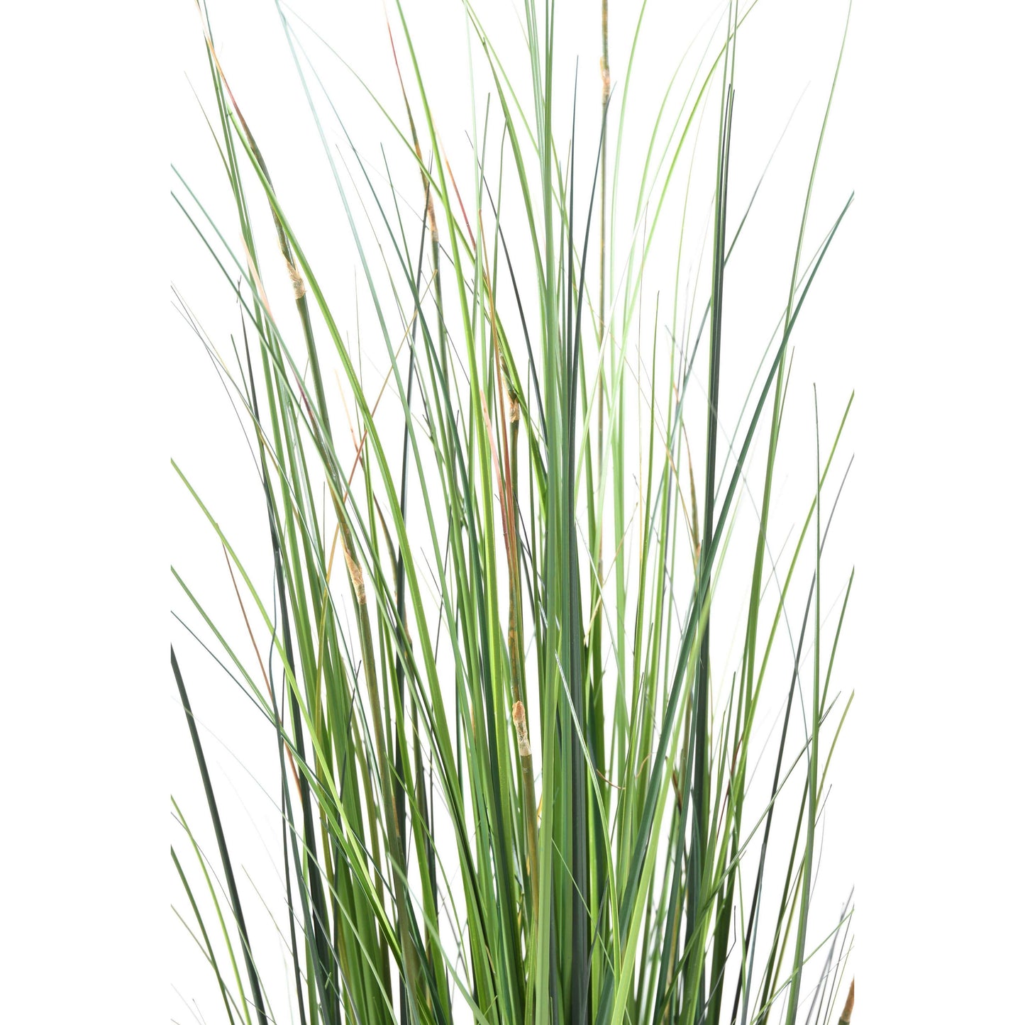 Herbe artificielle Onion Grass Bambou - plante d'intérieur - H.150cm vert