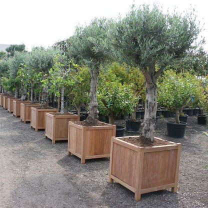 Jardinière pour fleur muret bois exotique Valencia - extérieur - L.100xH.80cm