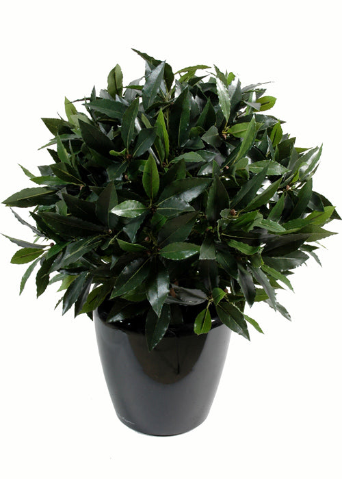 Plante artificielle Laurier boule luxe - plante synthétique - Ø.80cm