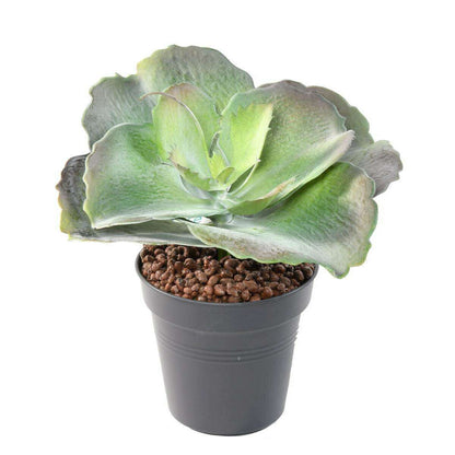 Mini plante artificielle Succulente ROND - cactus artificiel intérieur - H.24 cm