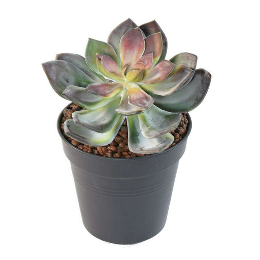 Mini plante artificielle Succulente VR - cactus artificiel intérieur - H.16cm