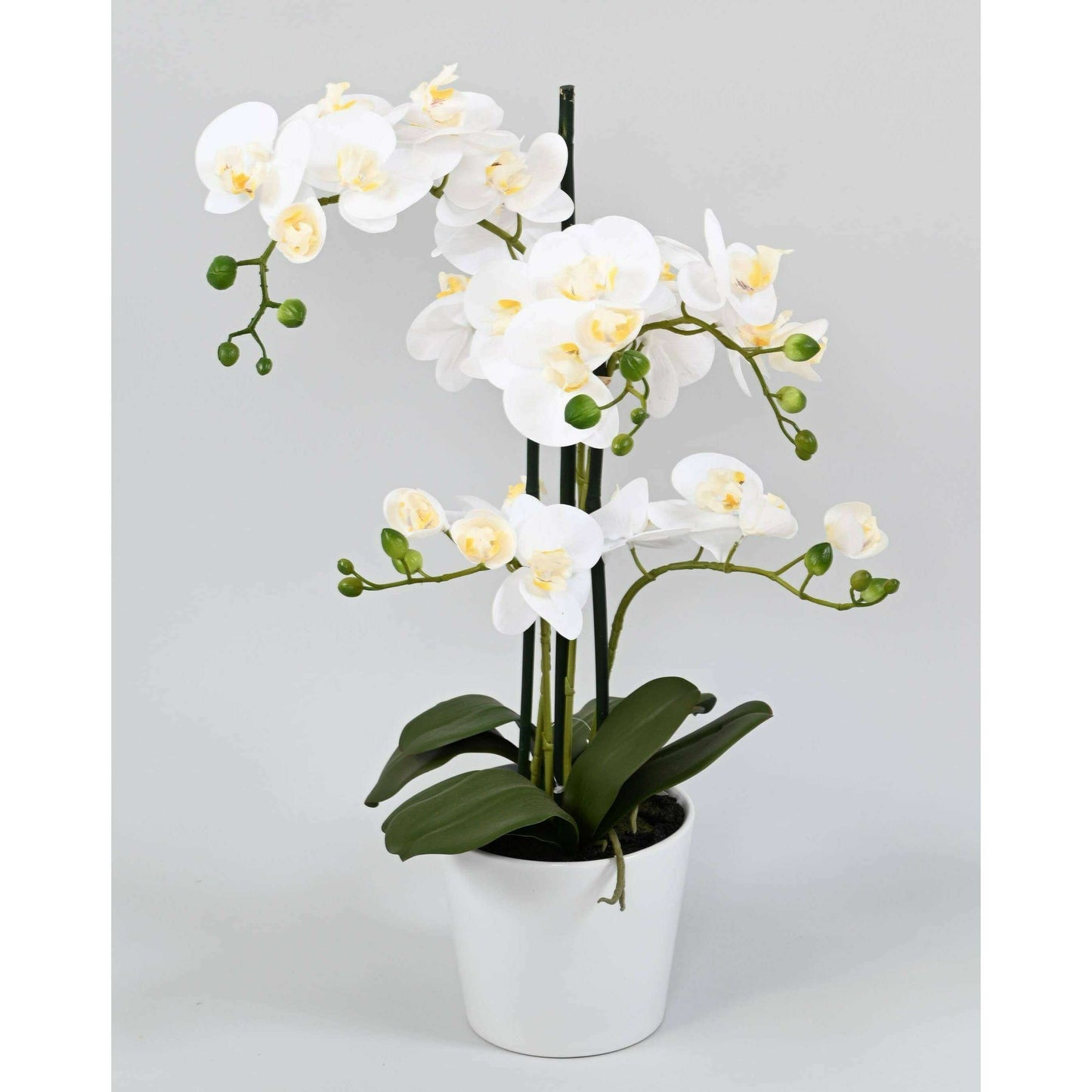 Orchidée Phalaenopsis artificielle en pot blanc - plante d'intérieur - H.70cm