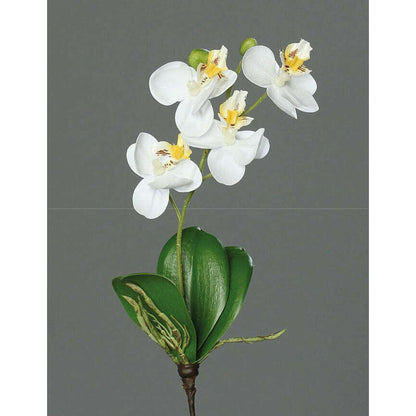 Orchidée Phalaenopsis artificielle mini - fleur en piquet - H.28cm crème