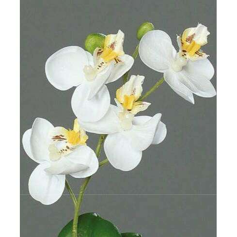 Orchidée Phalaenopsis artificielle mini - fleur en piquet - H.28cm crème