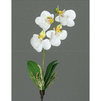 Orchidée Phalaenopsis artificielle mini - fleur en piquet - H.28cm vert blanc