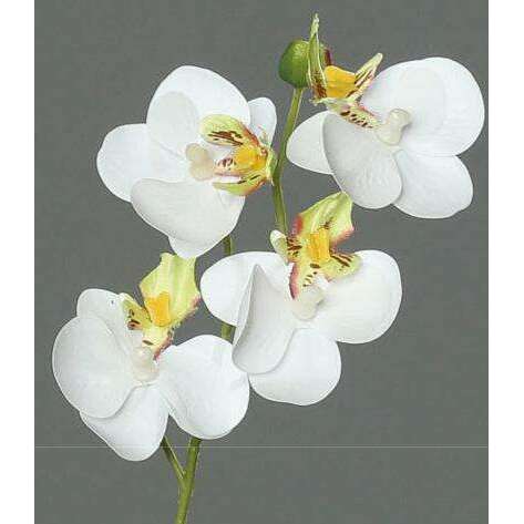 Orchidée Phalaenopsis artificielle mini - fleur en piquet - H.28cm vert blanc