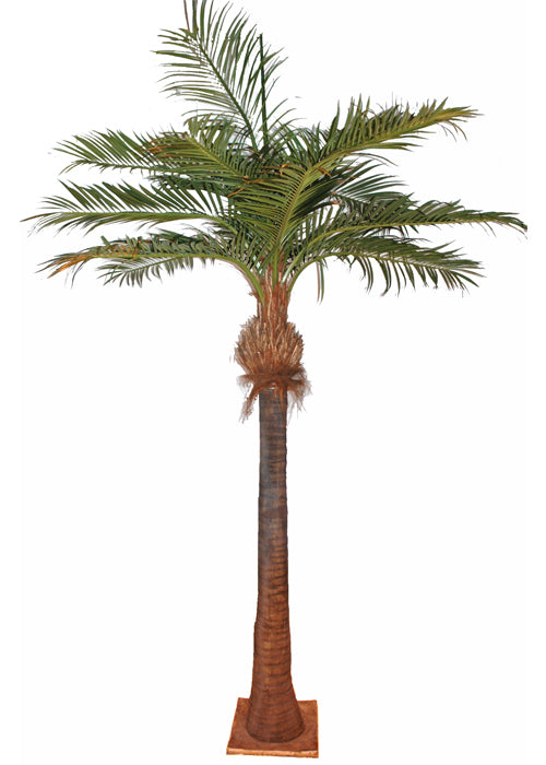 Palmier artificiel Coco - arbre tropical intérieur - H.700cm