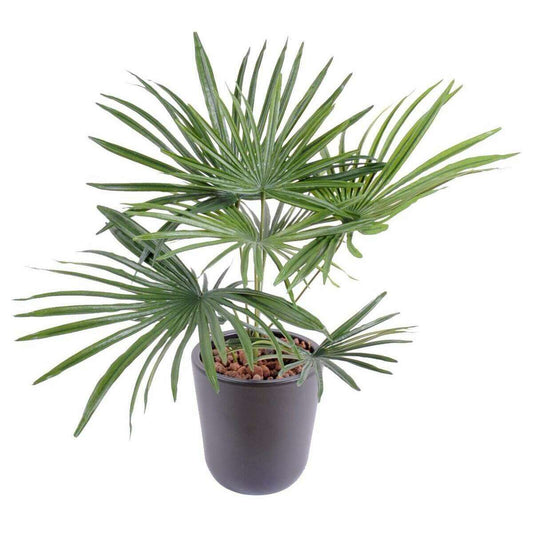 Palmier artificiel baby en piquet - fausse plante d'intérieur - H.53cm