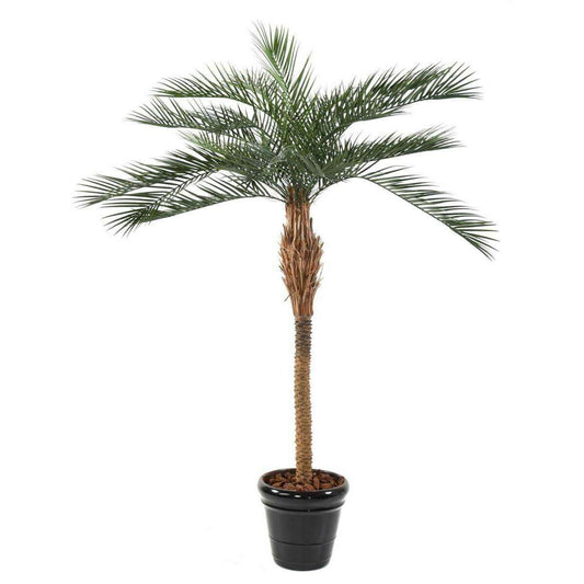 Palmier artificiel Phoenix PLAST - arbre pour extérieur - H.220cm vert