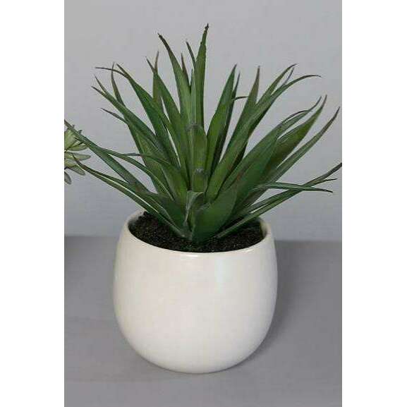 Plante artificielle 3 succulentes en pot blanc - cactus d'intérieur - H.15cm