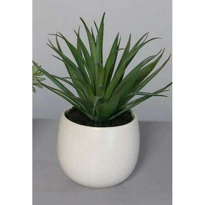 Plante artificielle 3 succulentes en pot blanc - cactus d'intérieur - H.15cm