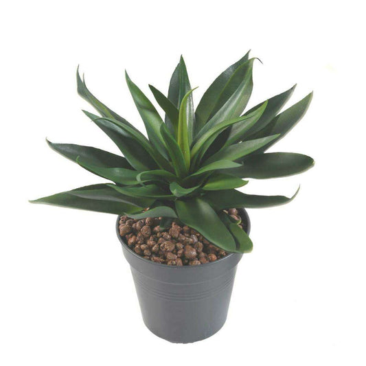 Plante artificielle Agave 36 feuilles - cactus artificiel extérieur - H.20cm vert