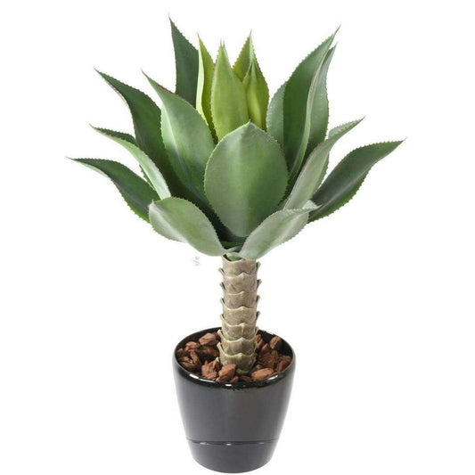 Plante artificielle Agave tige de plantation - cactus pour intérieur - H.75cm