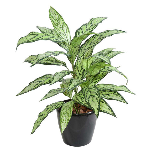 Plante artificielle Aglaonema en piquet -plante d'intérieur - H.80cm vert