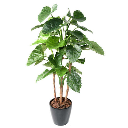 Plante artificielle Alocasia Calidora - décoration d'intérieur - H.170cm