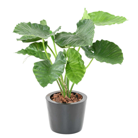 Plante artificielle Alocasia Calidora - plante verte d'intérieur - H.65cm