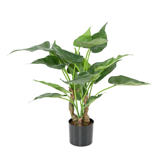 Plante artificielle Alocasia Cucullata - plante tropicale d'intérieur - H.50cm