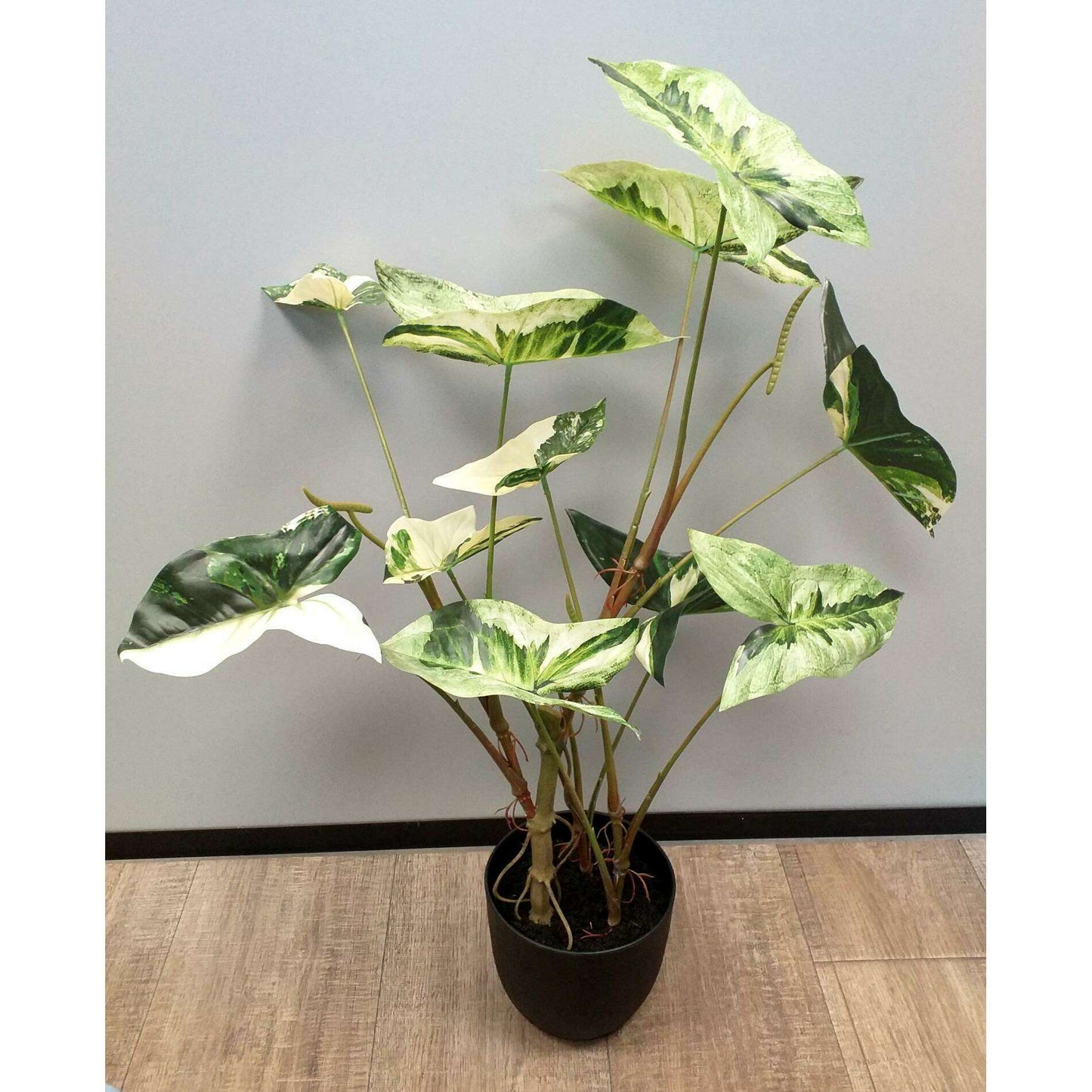 Plante artificielle Alocasia en pot - plante d'intérieur - H.75cm vert crème