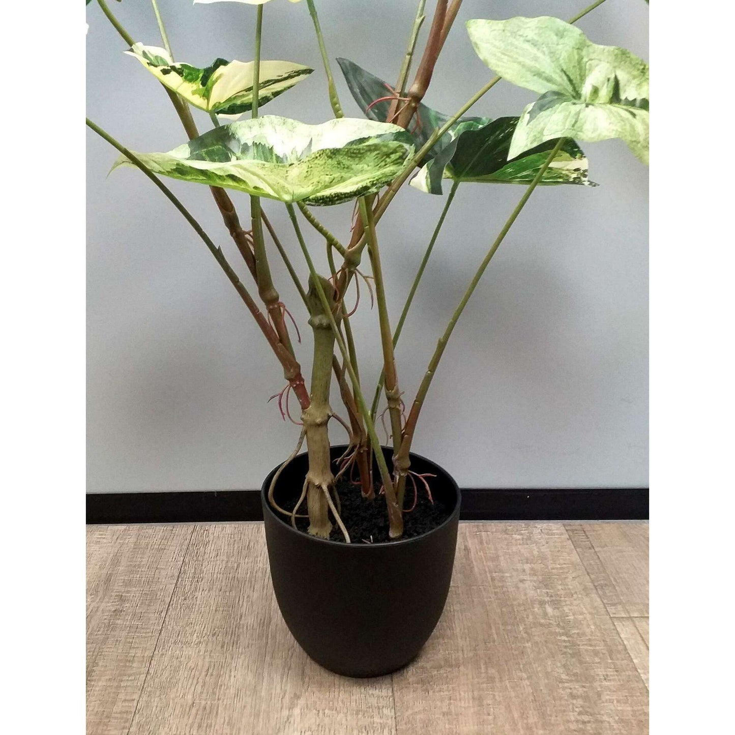 Plante artificielle Alocasia en pot - plante d'intérieur - H.75cm vert crème