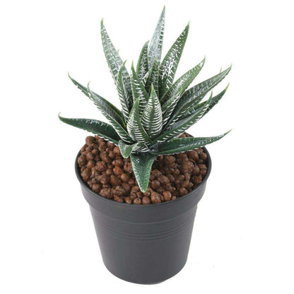 Plante artificielle Aloe en piquet - cactus artificiel intérieur - H.15cm vert