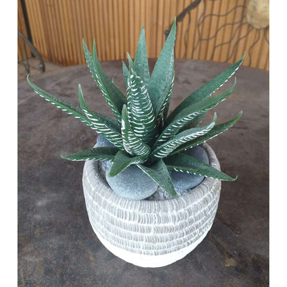 Plante artificielle Aloe en piquet - cactus artificiel intérieur - H.15cm vert