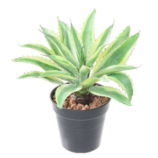 Plante artificielle Aloe en piquet - cactus artificiel intérieur - H.27cm vert jaune