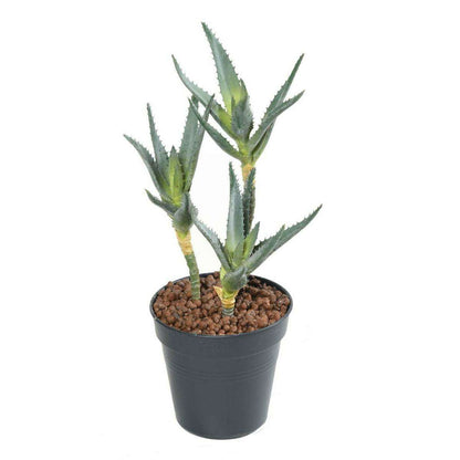 Plante artificielle Aloe en piquet set de 3 - cactus artificiel - H.35cm vert